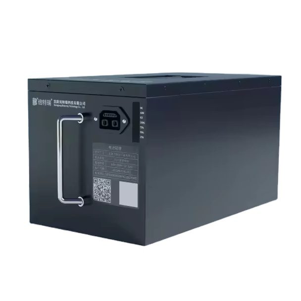 48V Swapping battery